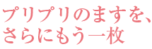 プリプリの「ます」をもう一枚