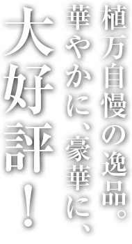 植万自慢の逸品。華やかに、豪華に、大好評！